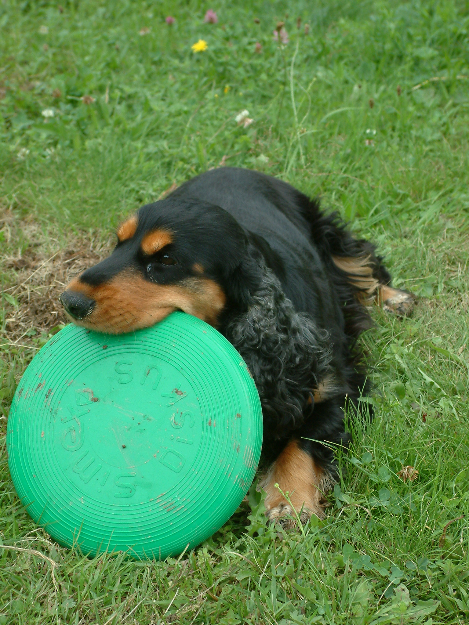 mamka_ 031.jpg
